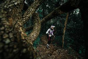 BIB: 
                            <button type="button" onclick="openModal(25695012)" class="btn btn-primary btn-sm float-right btn-popup" data-toggle="modal" data-target=".modal-high-quality">
                        <i class="fas fa-shopping-cart"></i> Add to Cart
                    </button>
                                            <button type="button" onclick="isThisMe(25695012, true)" class="btn btn-success btn-sm float-right btn-popup btn-isme hidden" data-toggle="tooltip" data-placement="bottom" title="นี่คือรูปของคุณใช่ไหม คลิกที่นี่เพื่อเอาเข้าอัลบั้ม">
                        <i class="fas fa-plus"></i> Add to album
                    </button>
                    <button type="button" onclick="isThisMe(25695012, false)" class="btn btn-warning btn-sm float-right btn-popup btn-isnotme hidden">
                        <i class="fas fa-ban"></i> Remove from album
                    </button>